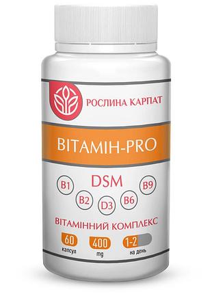 Витамин pro растение карпат 60 капсул – витаминный комплекс для здоровья иммунитета, энергии и нервной системы