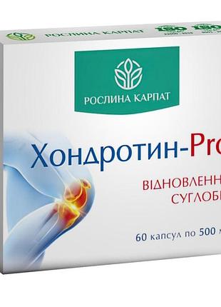 Хондротин-pro 60 капсул растение карпат — натуральный комплекс для восстановления и снятия боли в суставах позвоночника