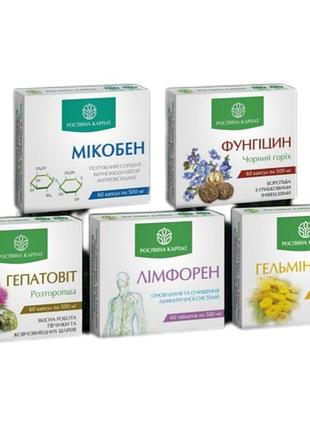 Программа курс очищения организма (14 дней) растение карпат