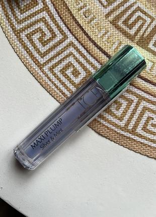 Блиск для губ lcf maxi plump silver & mint 03 з ефектом збільшення, 2 мл