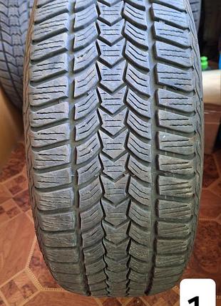 Зимомі шини 205/55 r16 91 h