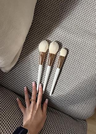 Кісточки antonova beauty