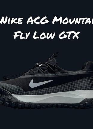 Nike acg mountain fly low gtx black grey