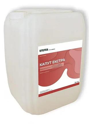 Гербіцид капут екстра 20л