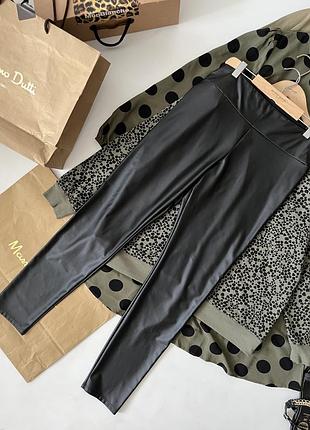Лосіни легінси calzedonia
