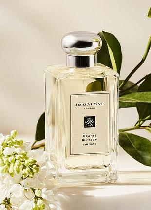 🍊 стійкий унісекс парфумована вода jo malone london orange blossom (джо малон оранж блоссом) 100 мл свіжий квітковий аромат