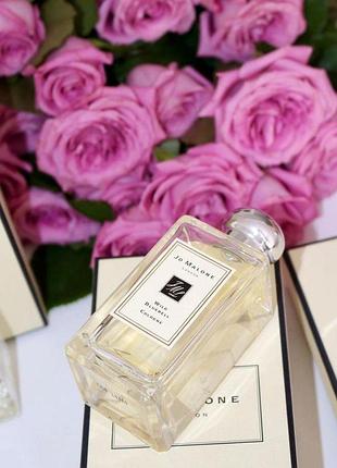 💙 стойкая женская парфюмированная вода jo malone london wild bluebell (джо малон вайлд блюбалл) 100 мл. свежий цветочный аромат