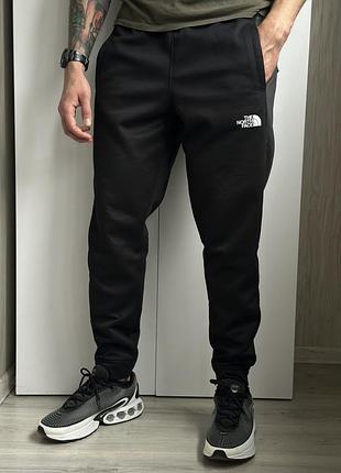Мужские спортивные штаны the north face