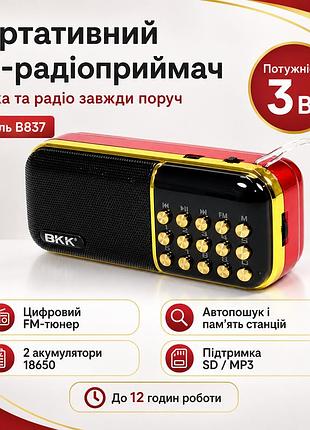 Портативний fm-радіоприймач колонка з цифровим тюнером bkk usb/mp3 b851