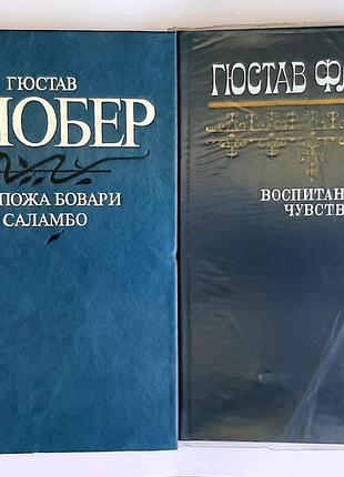 Гюстав флобер. «спокій боварі. саламбо», «спотворення почуттів»