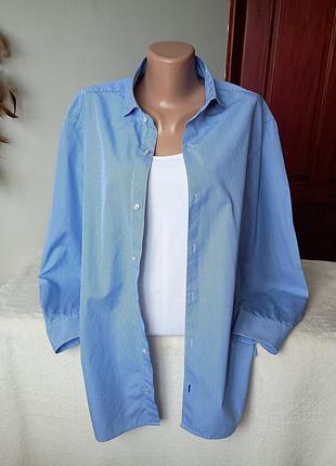 Рубашка хлопковая голубая mango l/xl размер