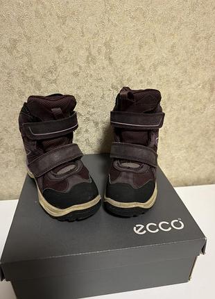 Дитячі зимові черевики ecco 2