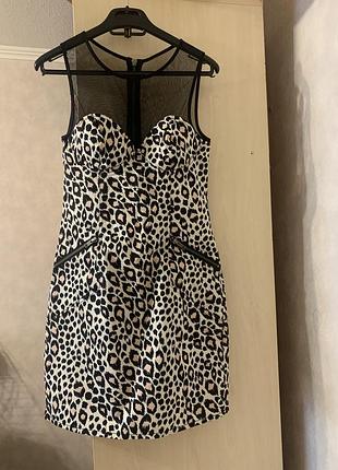 Леопардова коротка сукня h&m