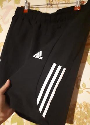 Чоловічі шорти adidas оригінал, розмір s