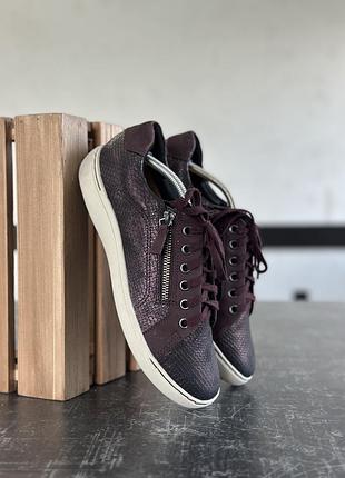 Кросівки clarks