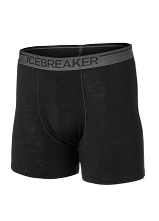 Мужские боксеры/термобелье icebreaker anatomica из шерсти мериноса (merino wool)