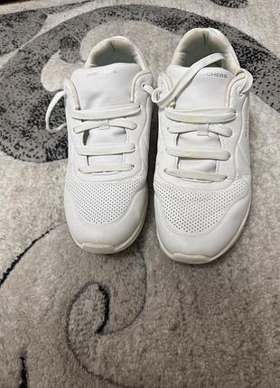 Фірмові кросівки skechers