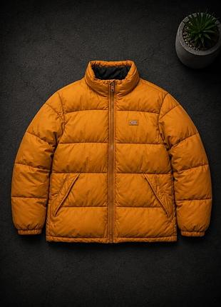 Пухових dickies,оригінал