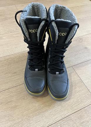 Черевики ecco