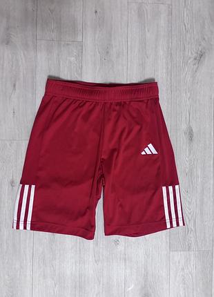 Класні спортивні шорти adidas оригінал р.152