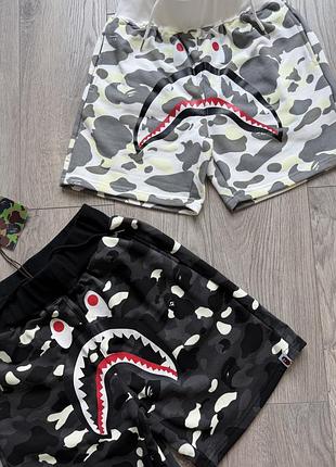 Шорти bape shark