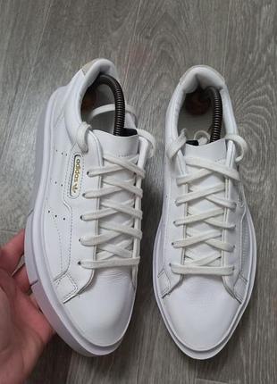 Шкіряні жіночі кросівки adidas