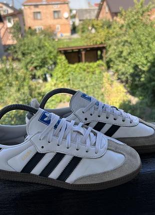 Кросівки adidas samba