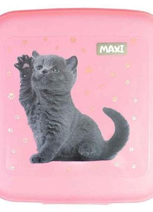 Ланч-бокс (контейнер для їжі) 850мл тм maxi