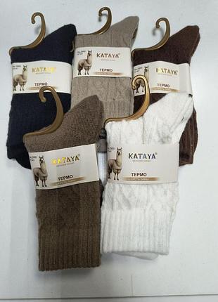 Шкарпетки жіночі високі з вовною лами kataya (5 шт різного кольору). розмір 37-41.