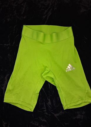 Спортивні шорти adidas tech fit climacool