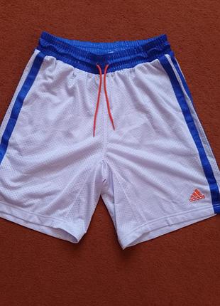Шорти адідас l-xl нові, оригінал