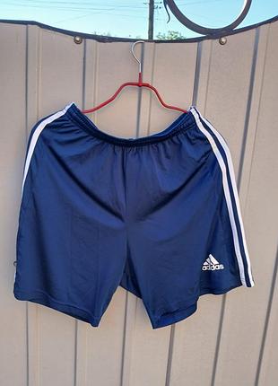 Чоловічі спортивні шорти adidas.