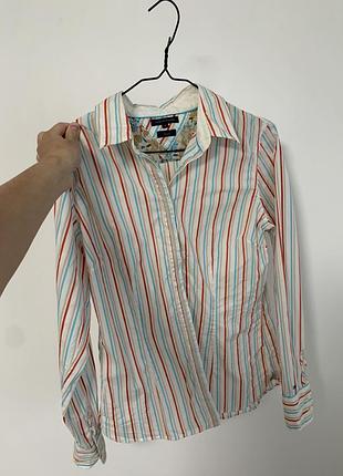 Смугаста сорочка tommy hilfiger