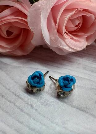 Сережки з кристалом