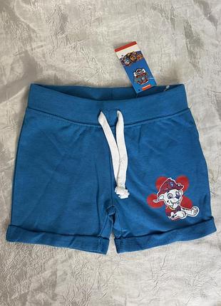 Шорты трикотажные paw patrol, р.98-104 (2-4y)