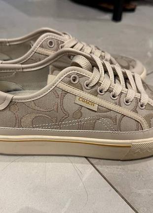Оригинальные кеды кеды coach signature canvas (на стопу 24 см)