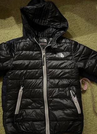 Куртка 110, 116, the north face, оригинал, курточка