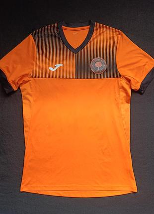 Футболка wickford park football club