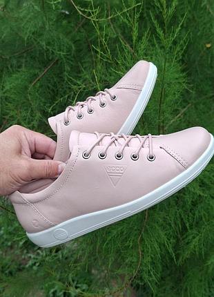 Жіночі шкіряні кеди ecco soft 2.0, 38р.