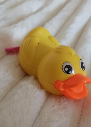 Заводная игрушка утка 4