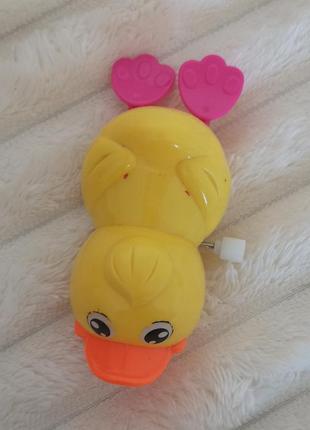 Заводная игрушка утка 5