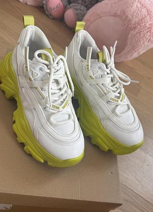 Кросівки steve madden