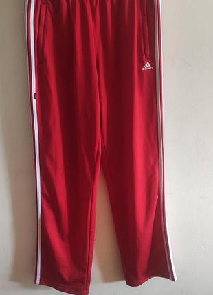 Червоні штани adidas