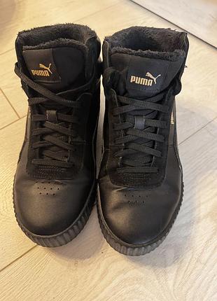 Кеди puma зима