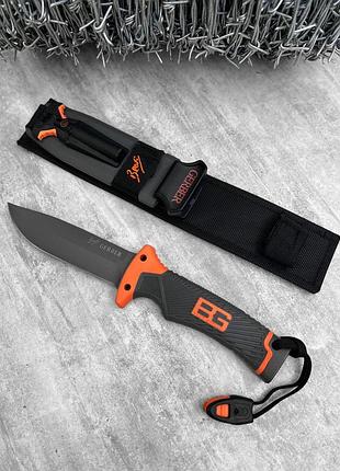 Gerber bear survives