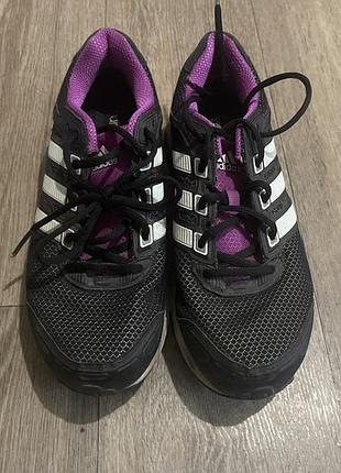 Кросівки жіночі, adidas, зауважень немає, розмір 41