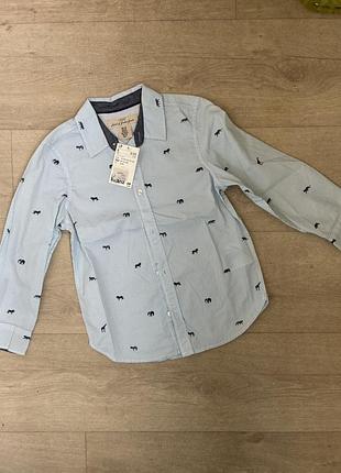 Сорочка на хлопчика h&m