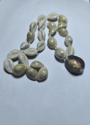 ^амисто ракушек каури 3