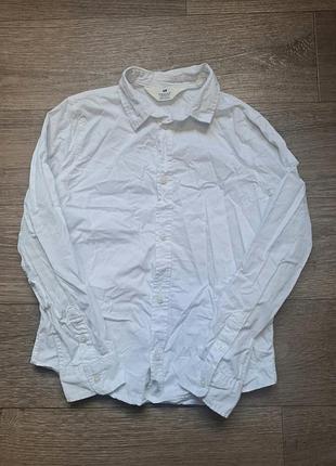 Сорочка h&m cotton