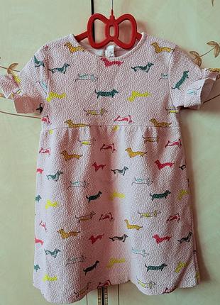 Сукня zara